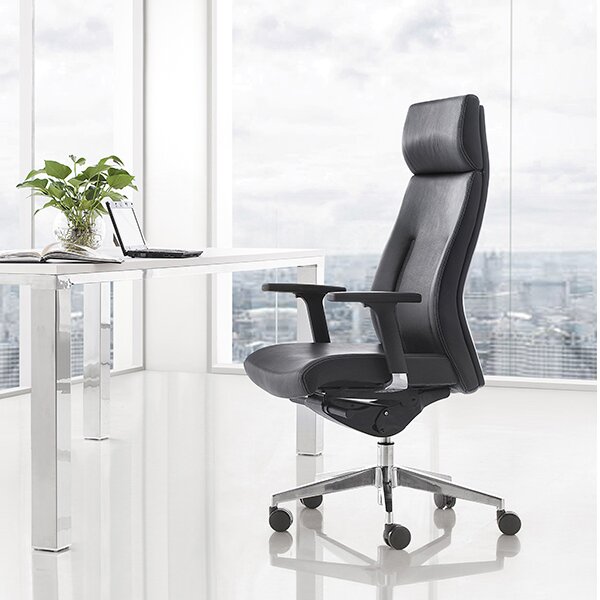 Hokku Designs Renn Ergonomic Executive Chair with Headrest Wayfair